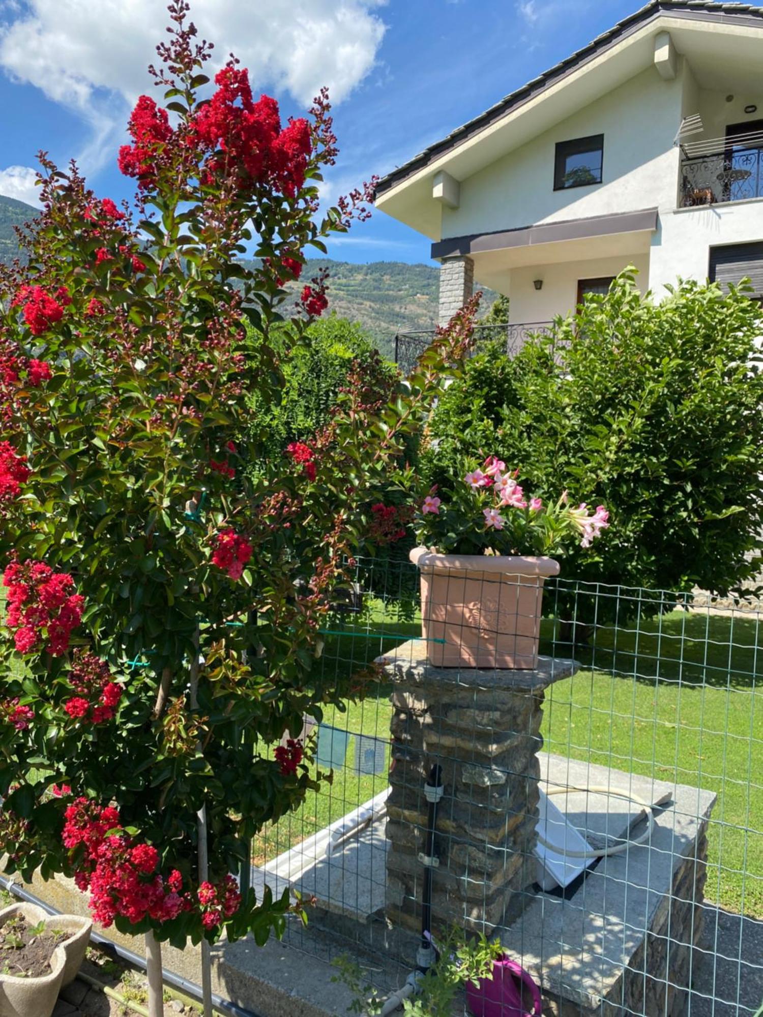 Apartamento Il Tiglio Gressan Aosta Exterior foto